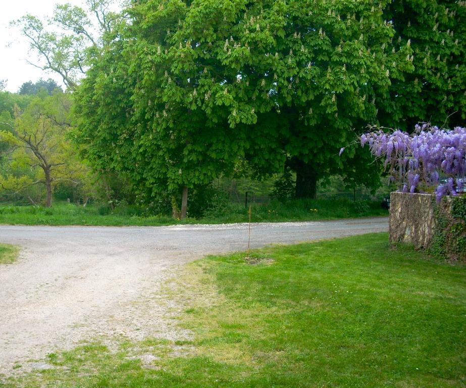 Sous Les Marronniers Bed & Breakfast Petit-Palais-et-Cornemps ภายนอก รูปภาพ